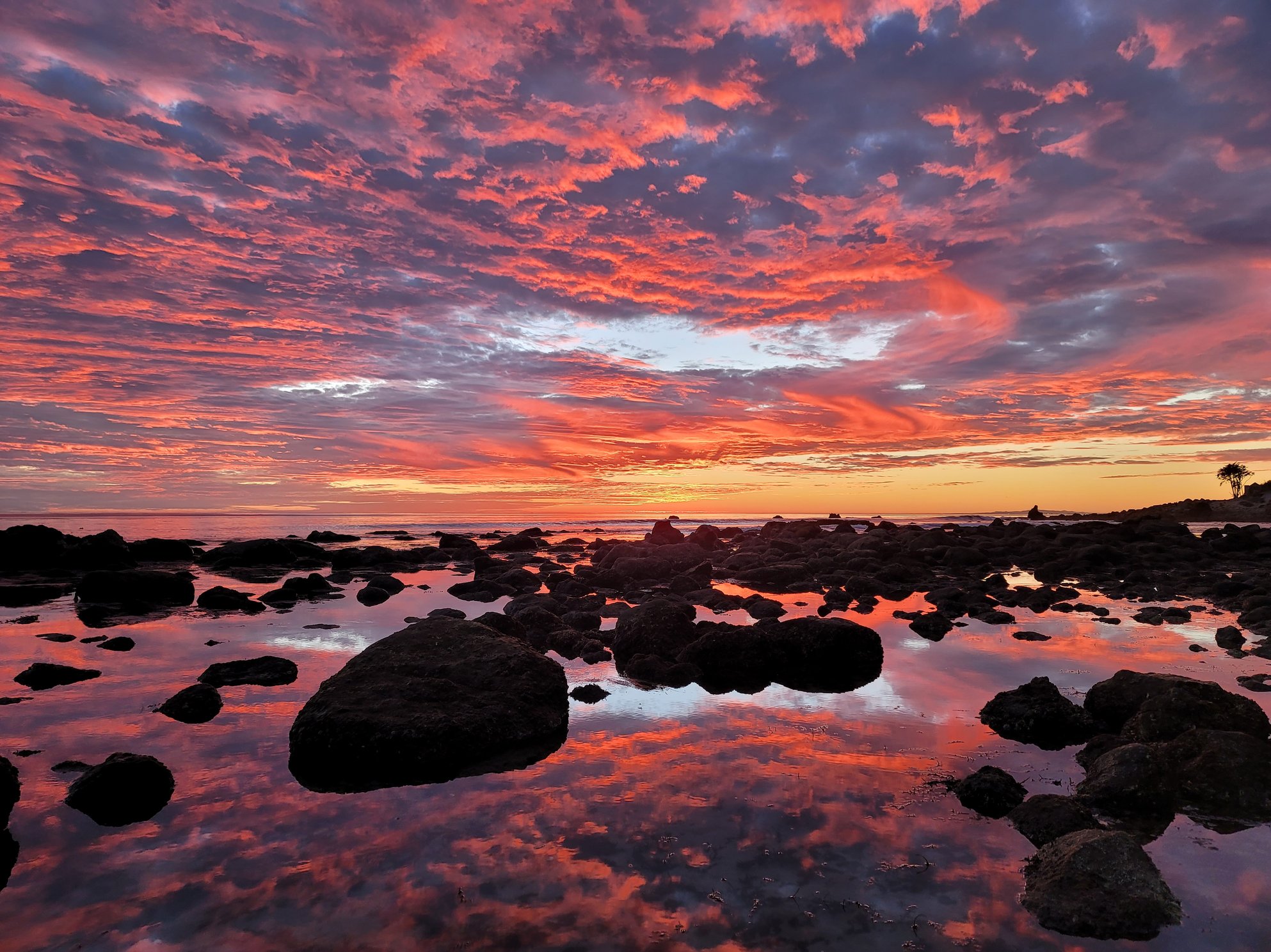 Reflections over the Pacific Ocean © Siyana Lapinsky