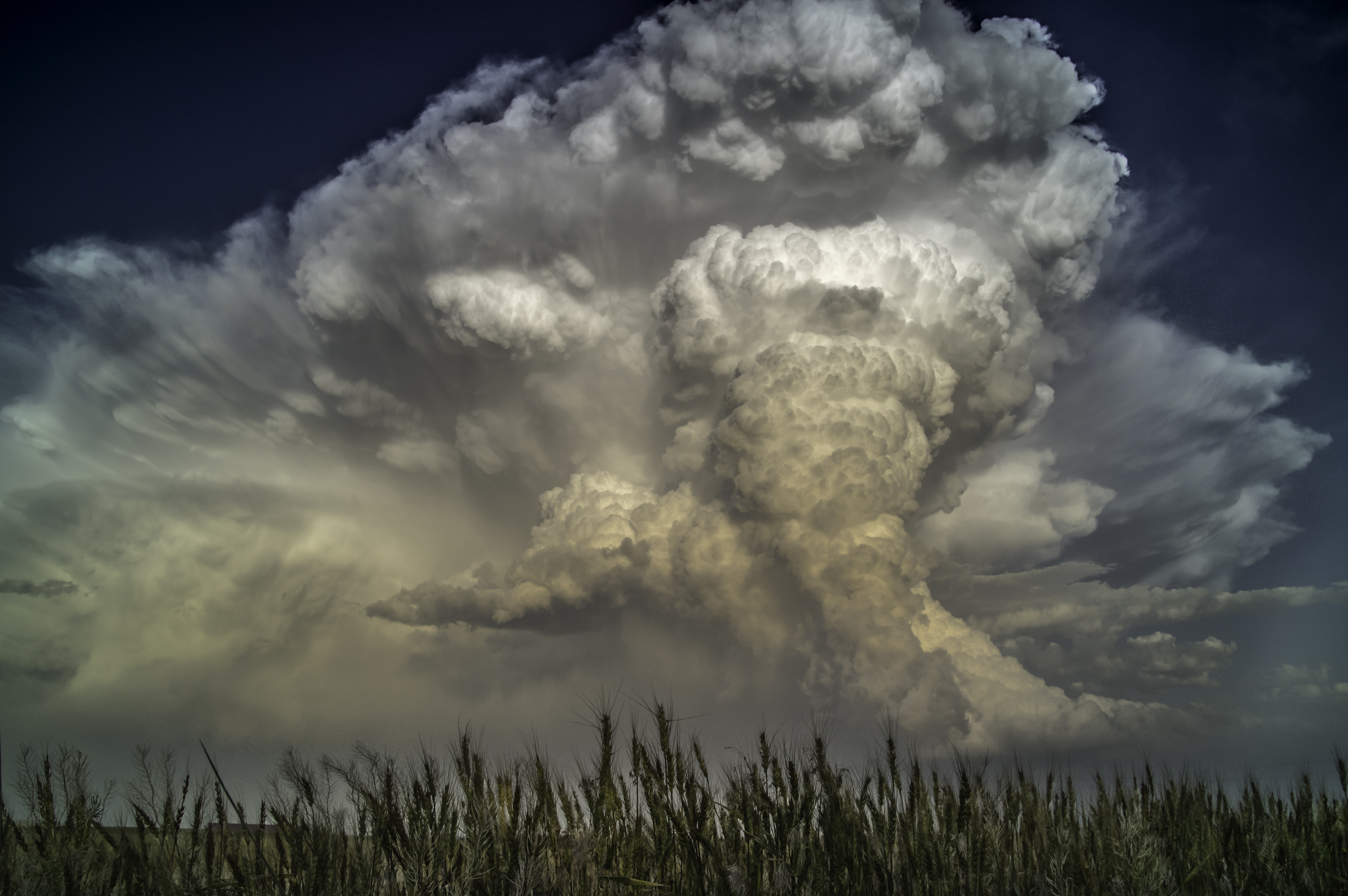 Ellie Cloud © Kathryn Parent