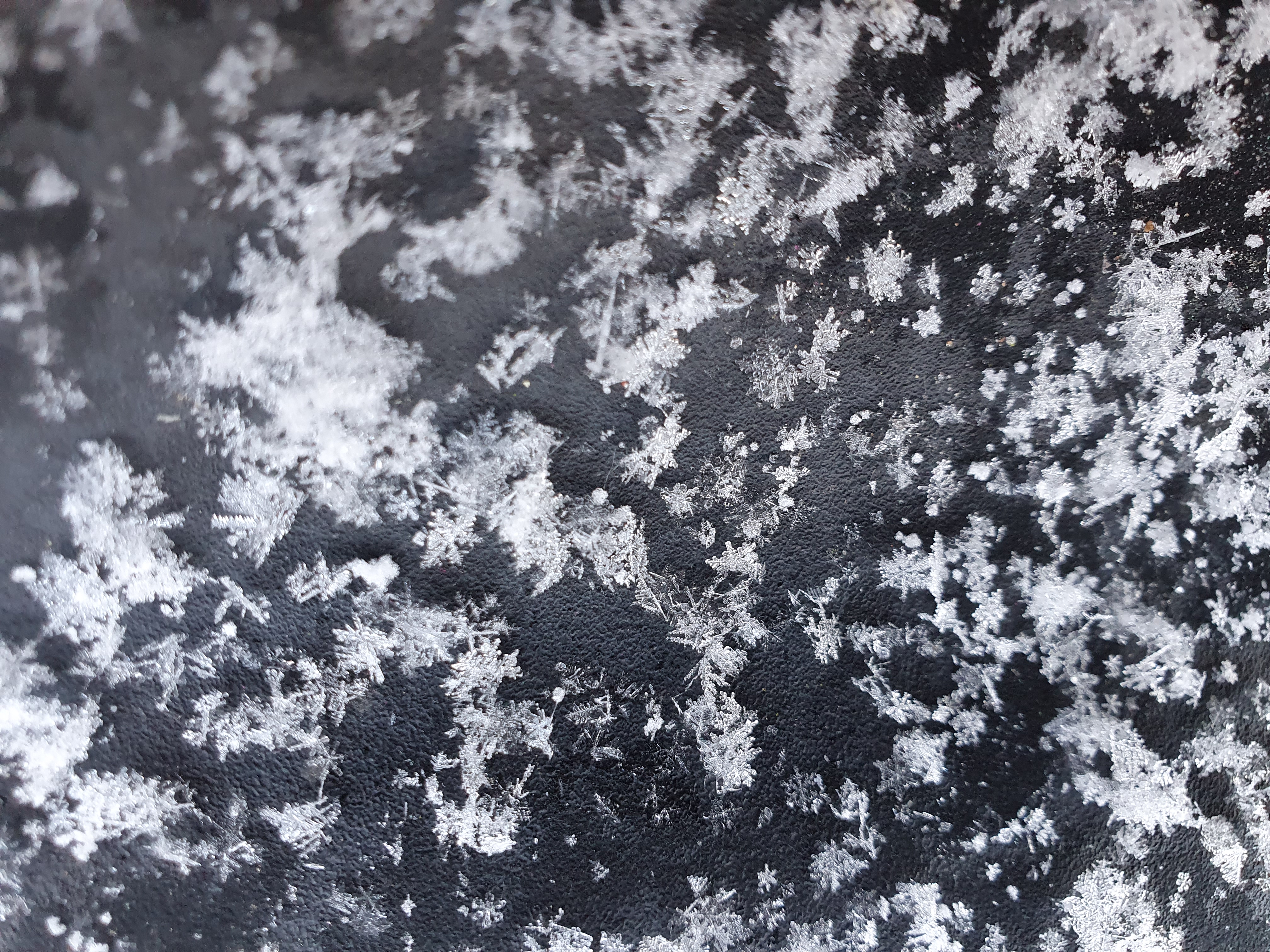 Snowflakes on a car windscreen