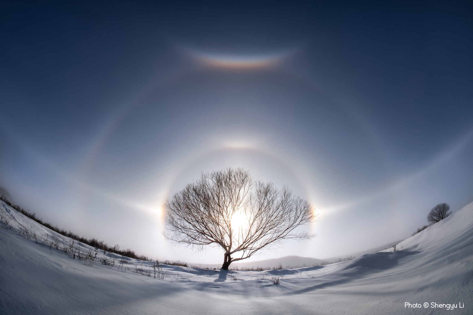 Halo in Diamond Dust, Shengyu Li