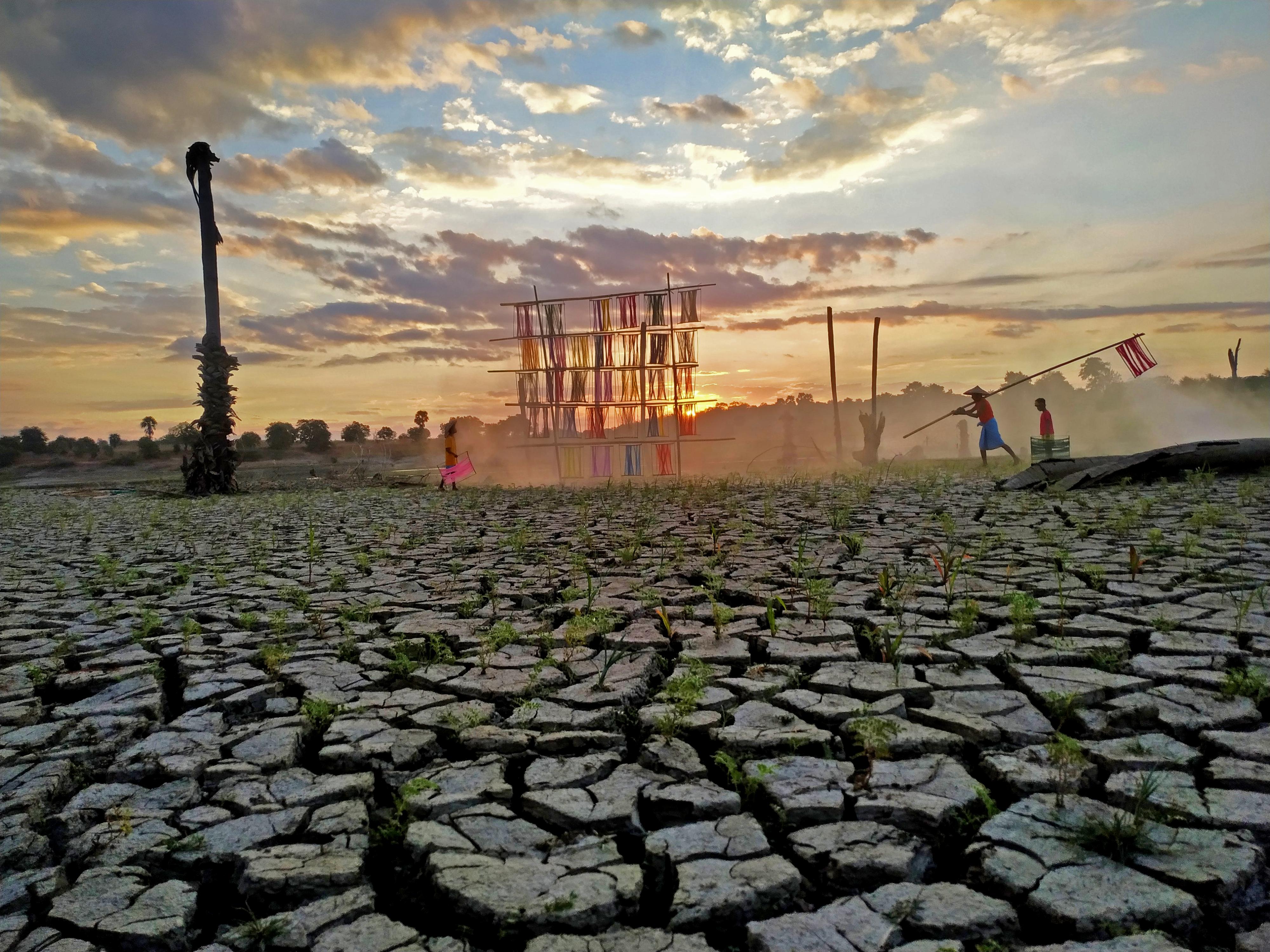 Morning Life © Zaw Zaw Wai