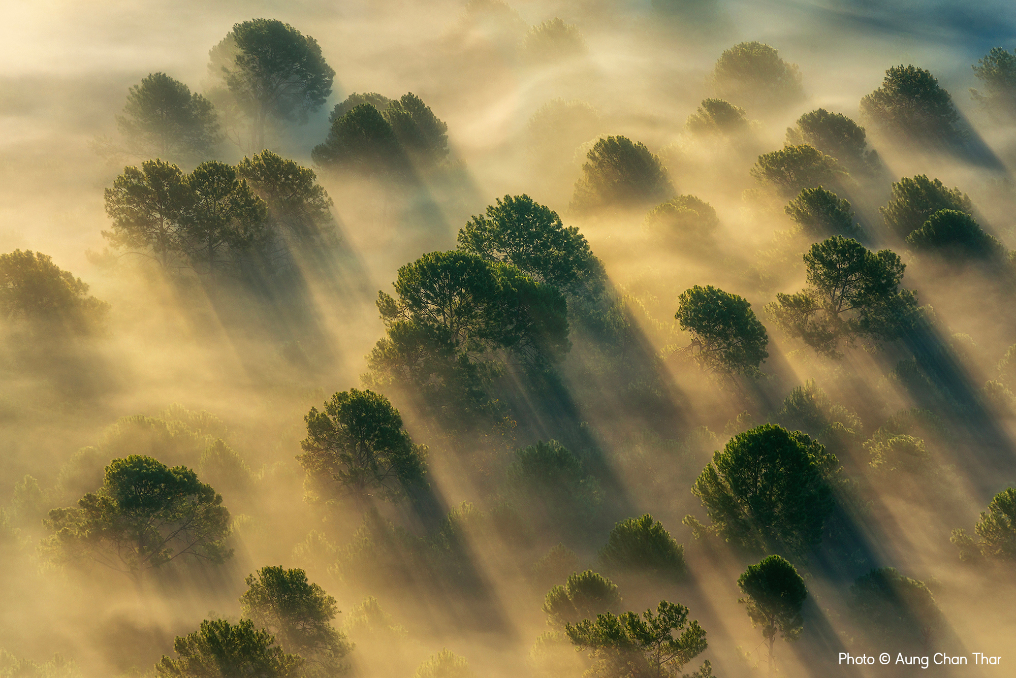 The Rays, Aung Chan Thar