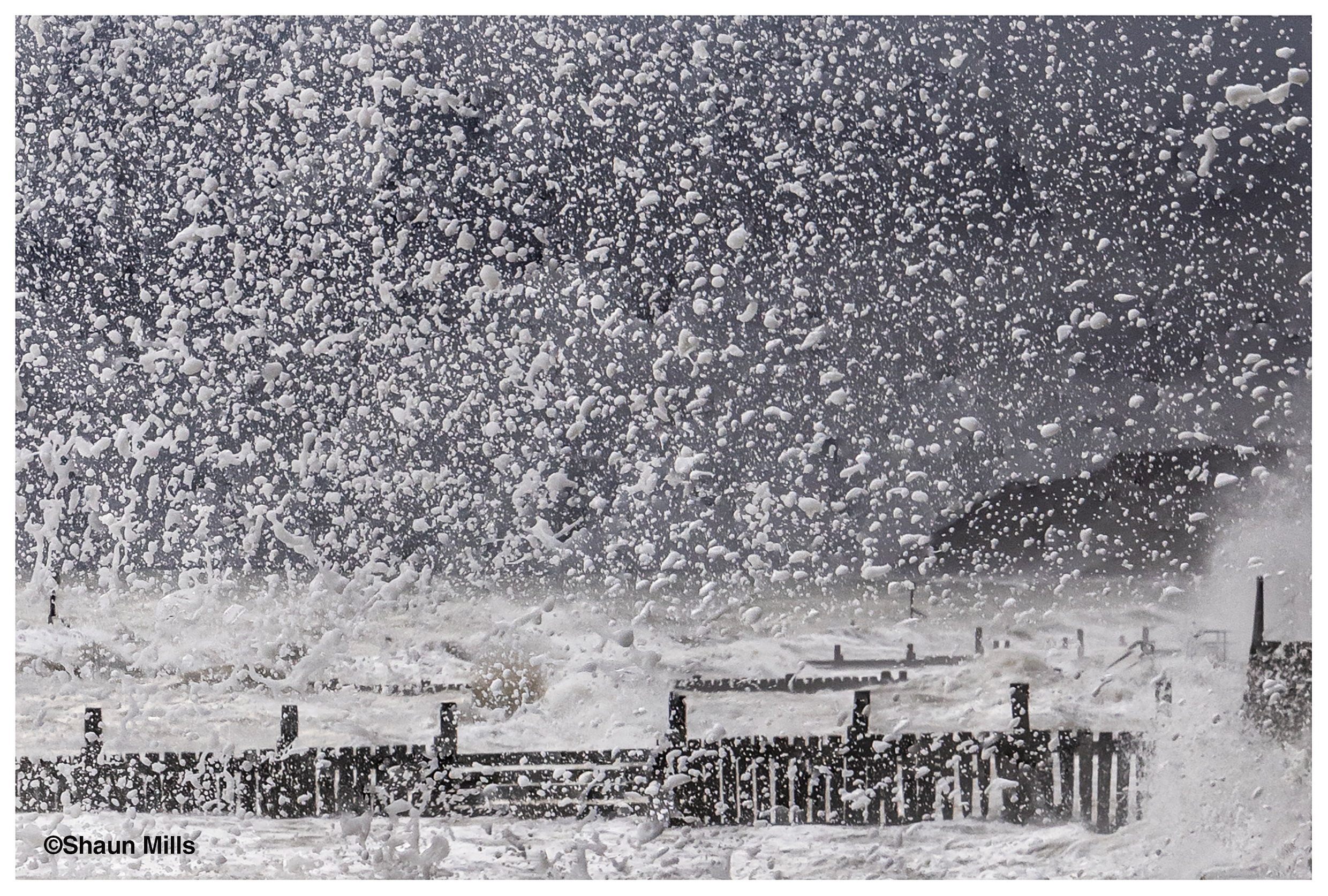 Spray — Shaun Mills
