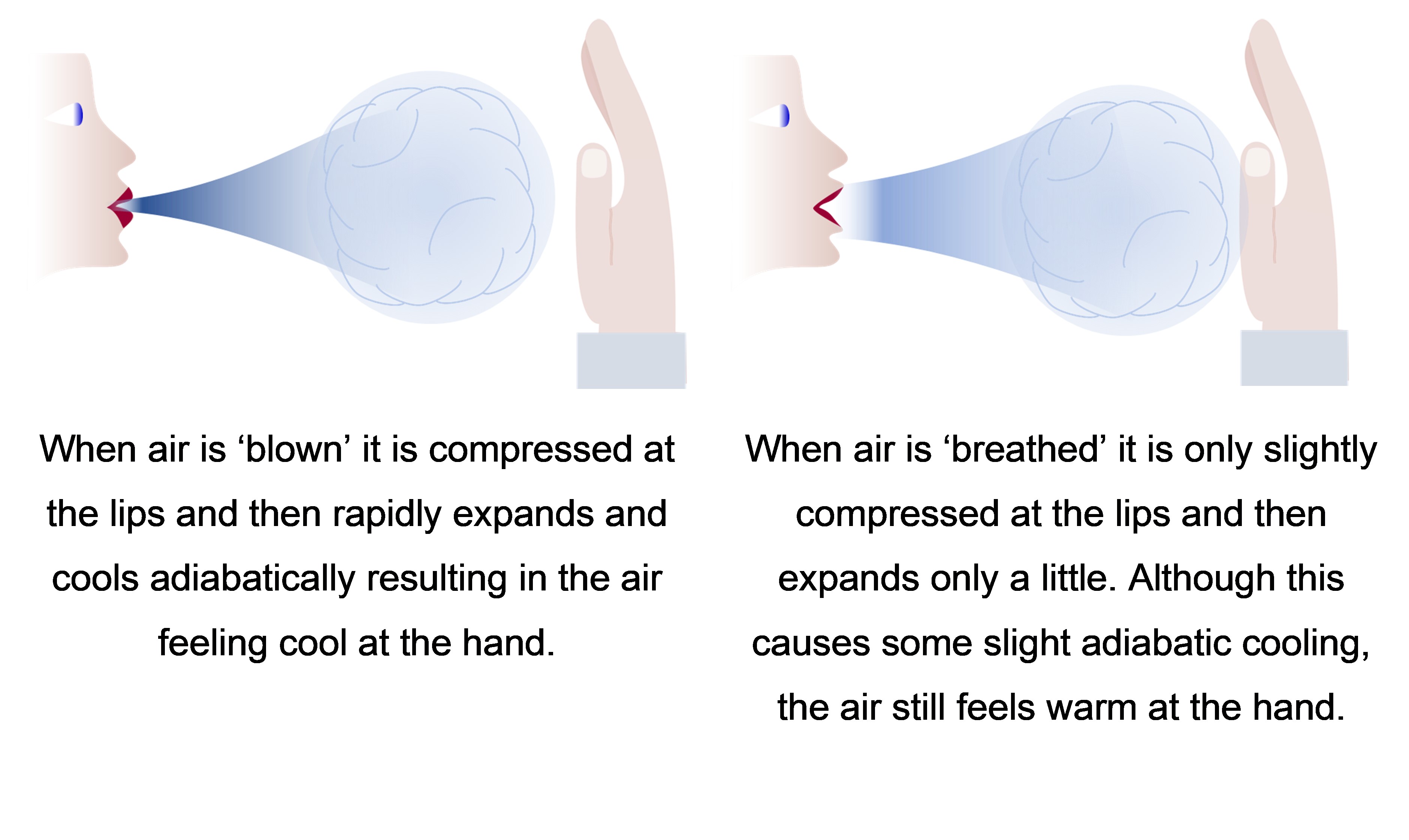 Breathing and Blowiung