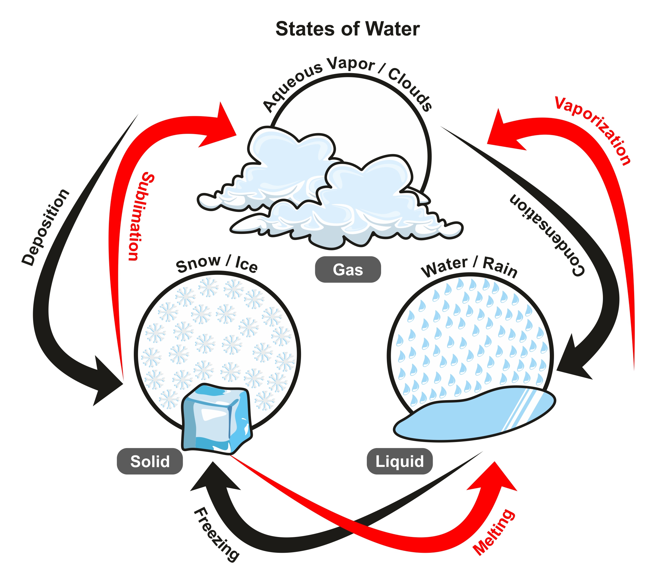 States of water infographic