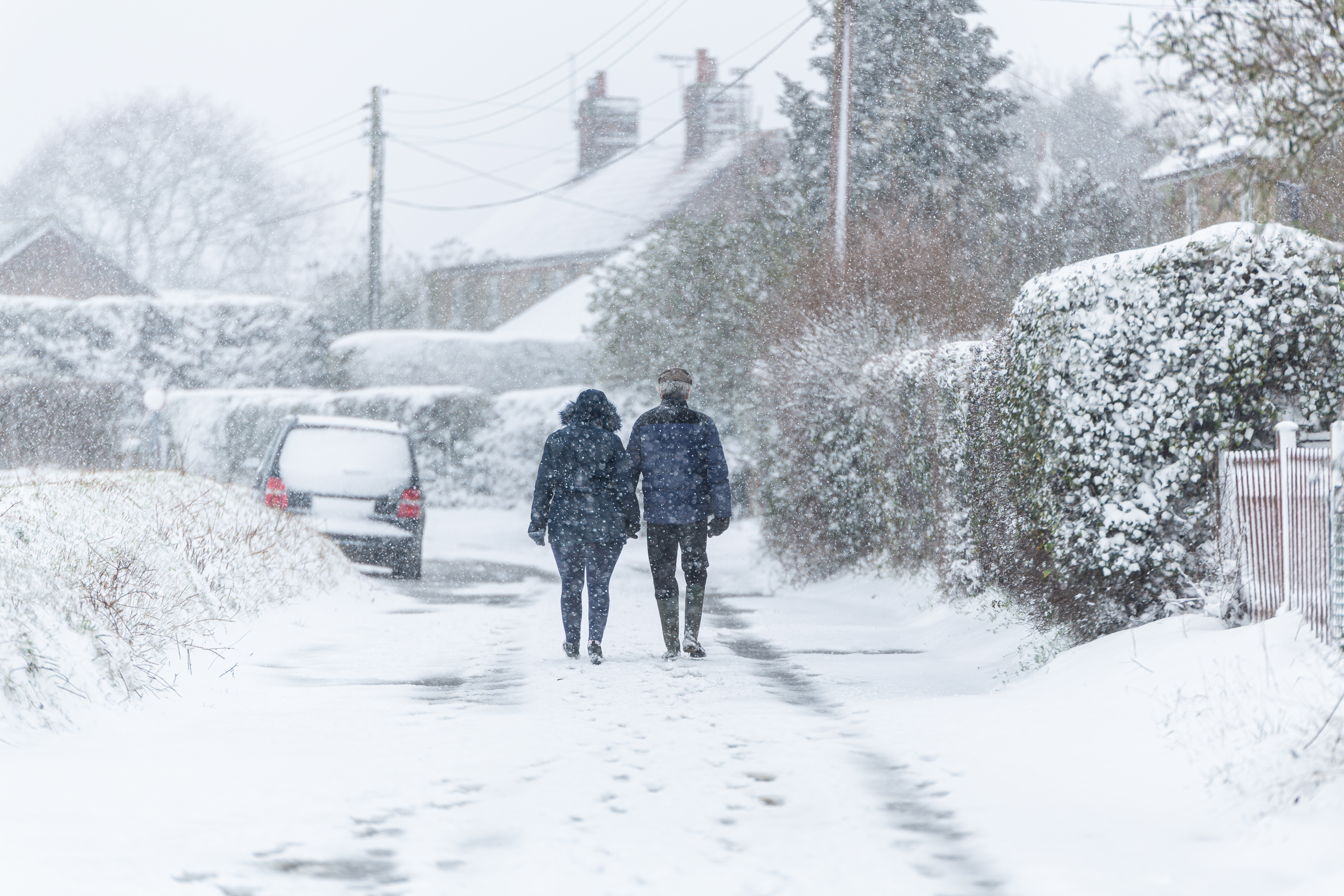 Beast from the East