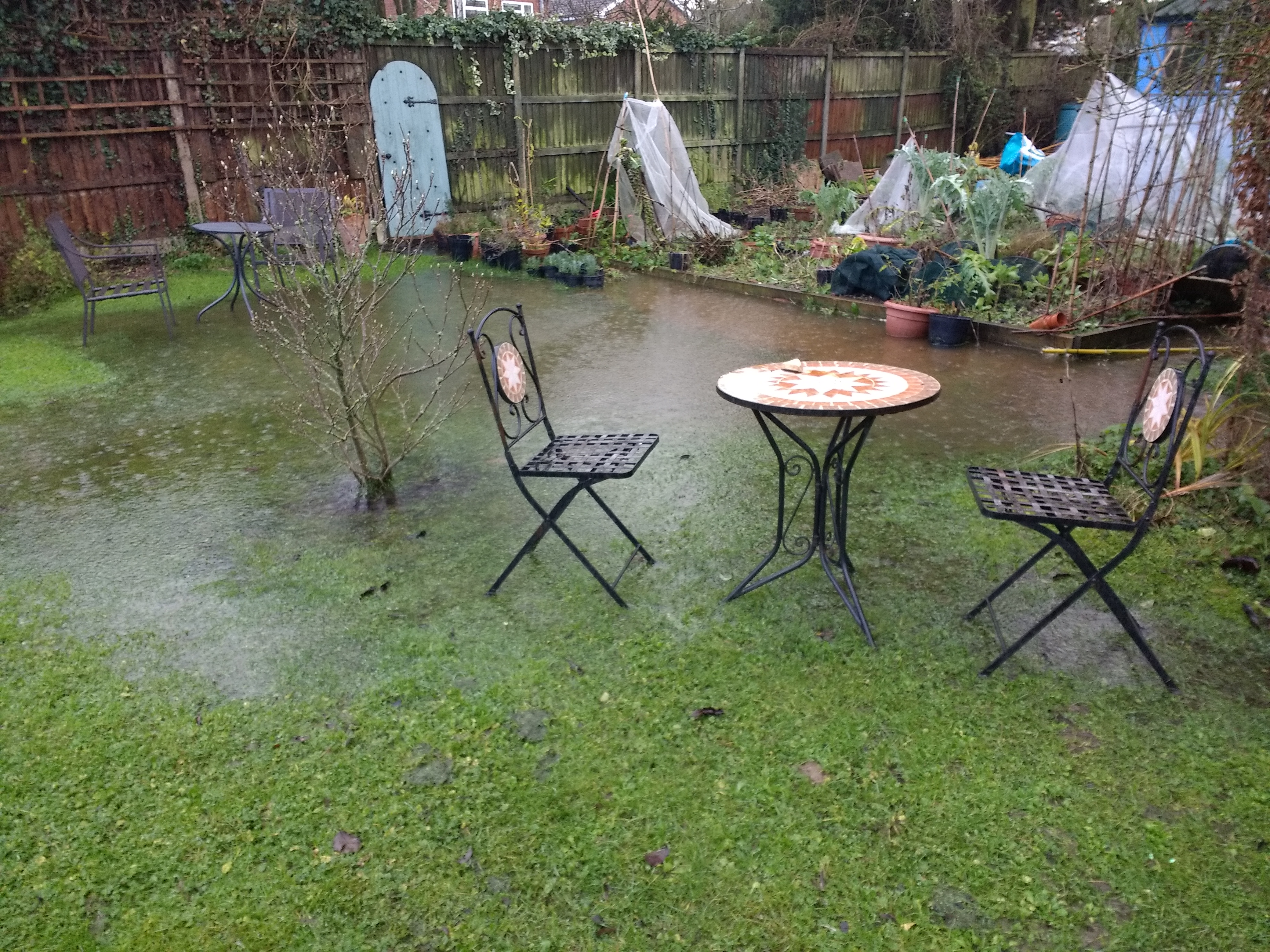 Waterlogged garden lawn
