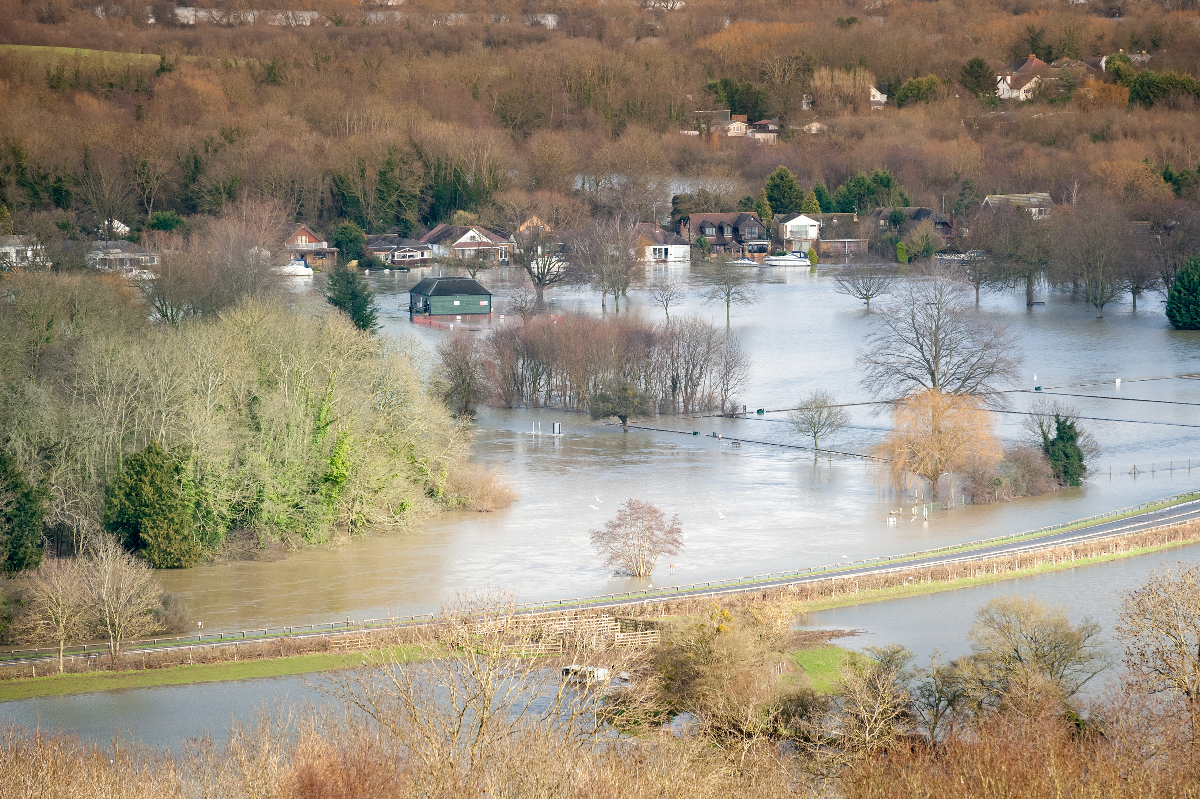 Flooded field