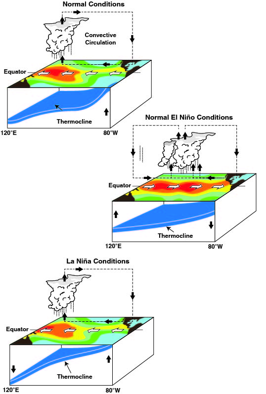 Schematic of the El Niño Southern Oscillation