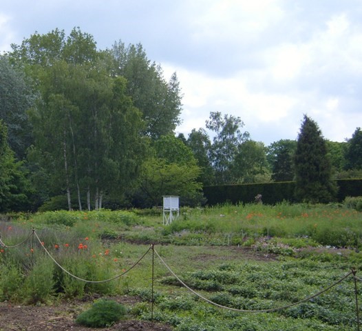 Stevenson Screen at Cambridge Botanic Garden weather station