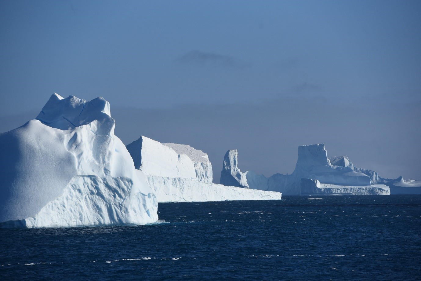 Icebergs as far as the eyes could see © Peter Fisher