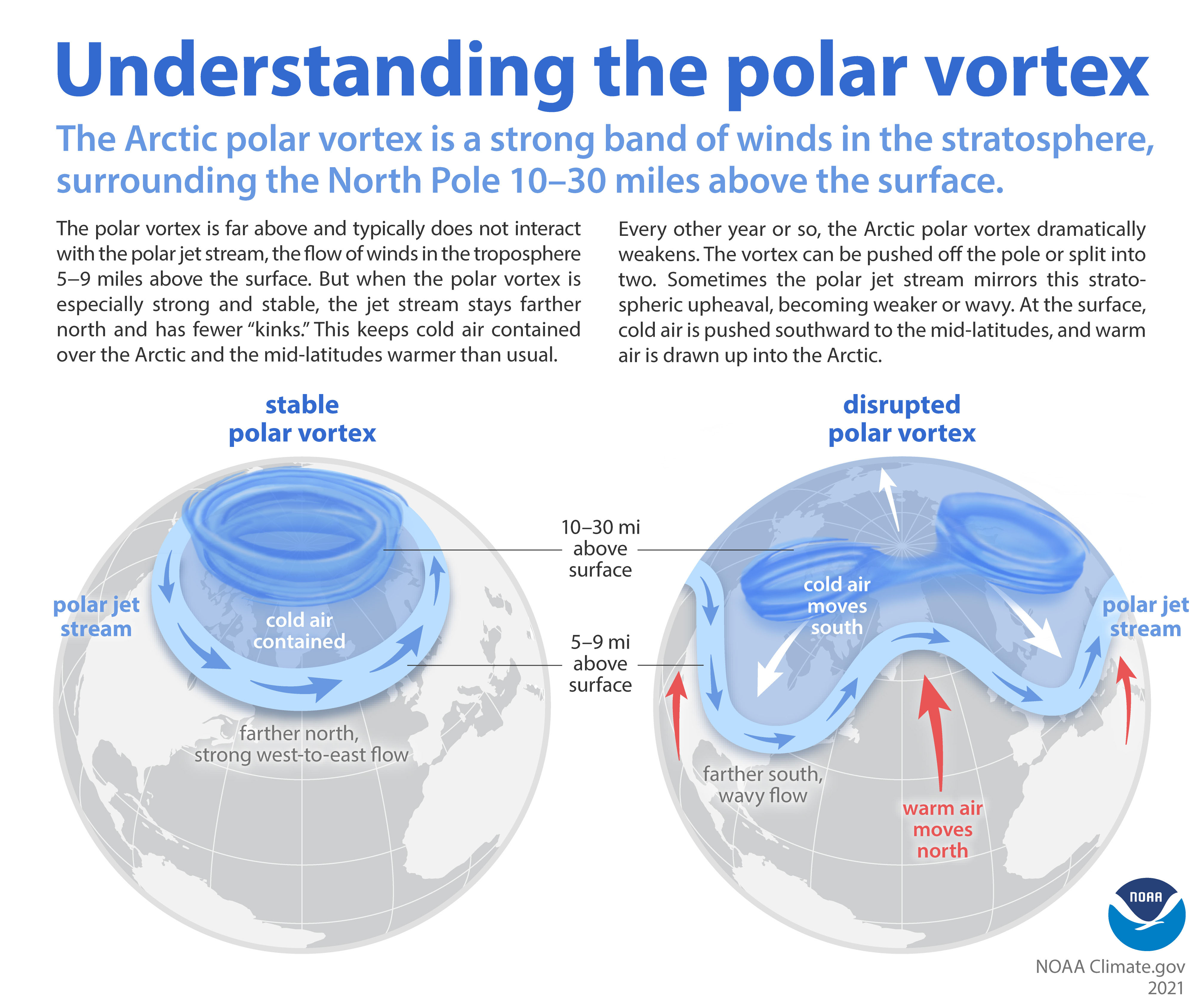 Polar vortex