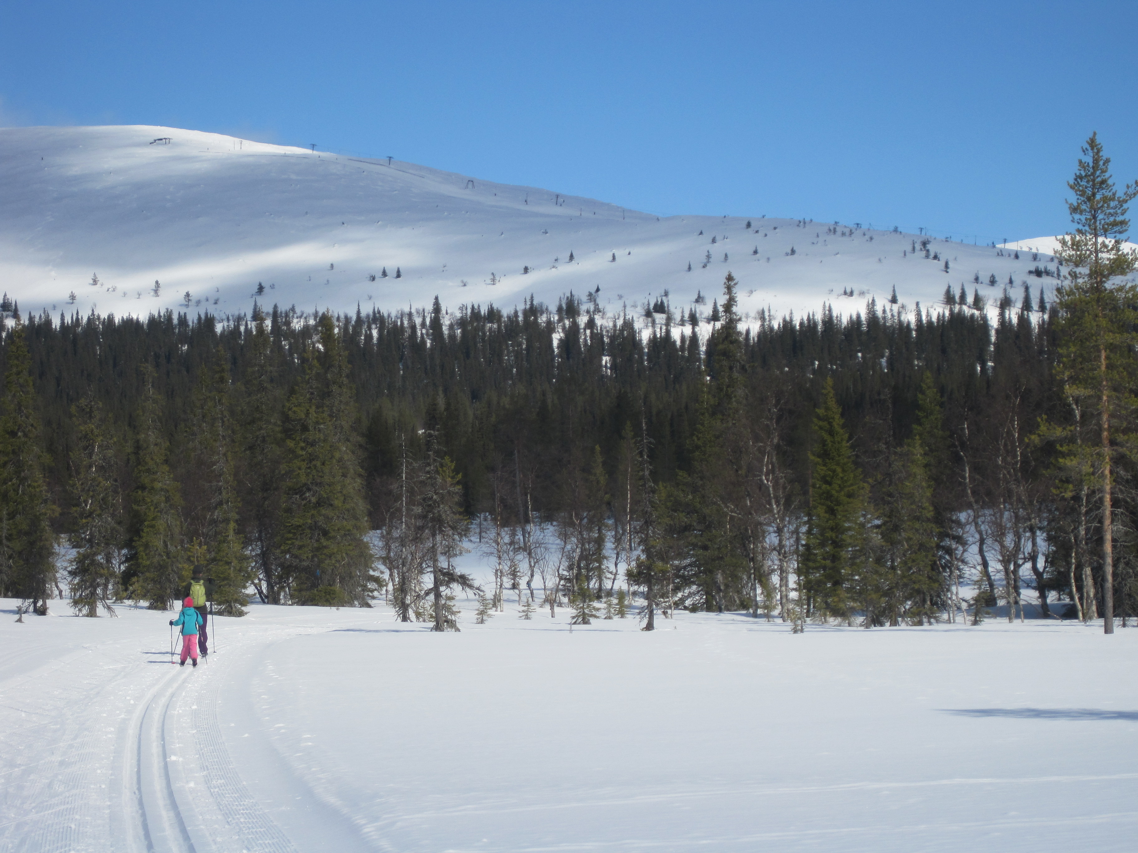 Pallas, Finland (2014)
