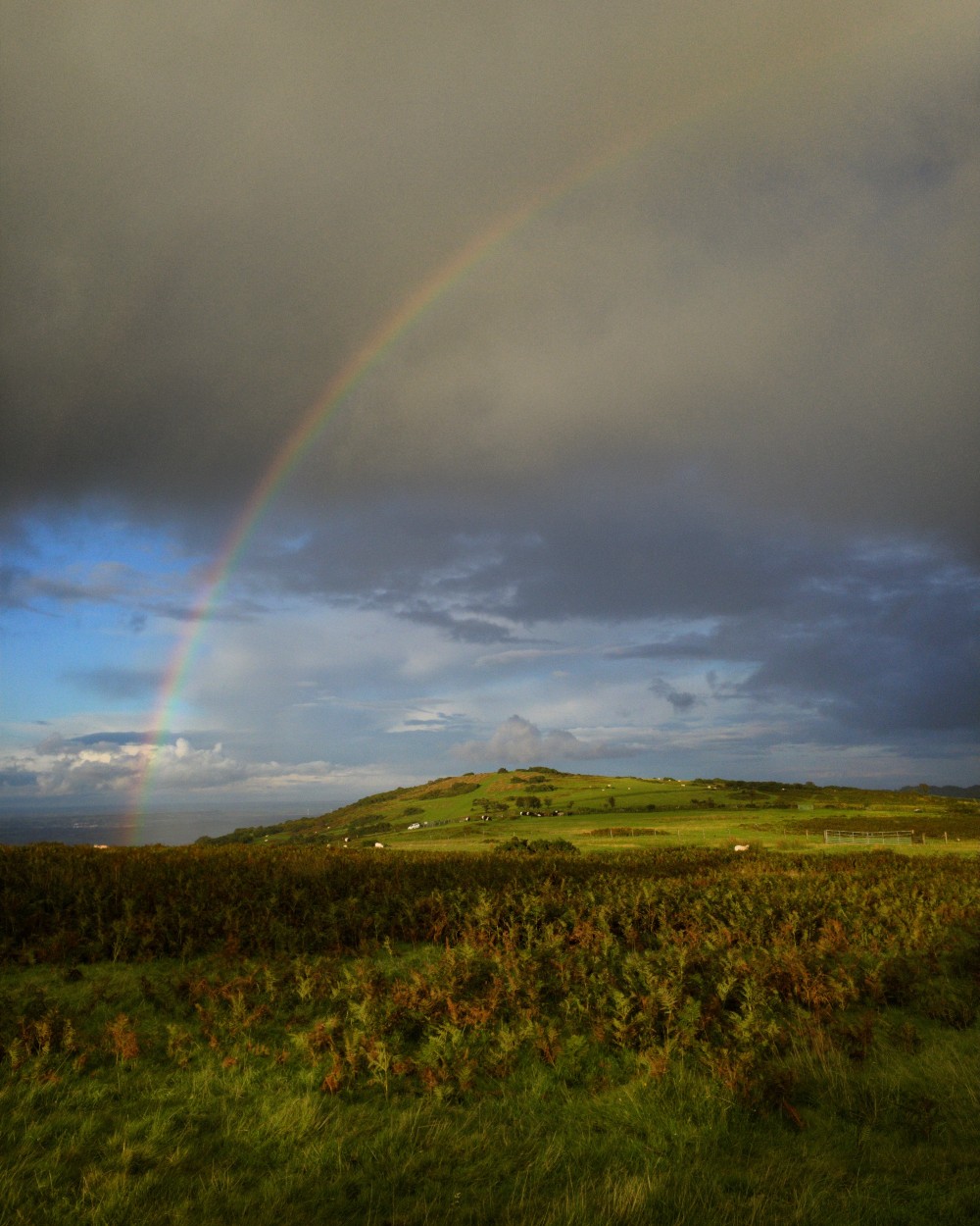 rainbow