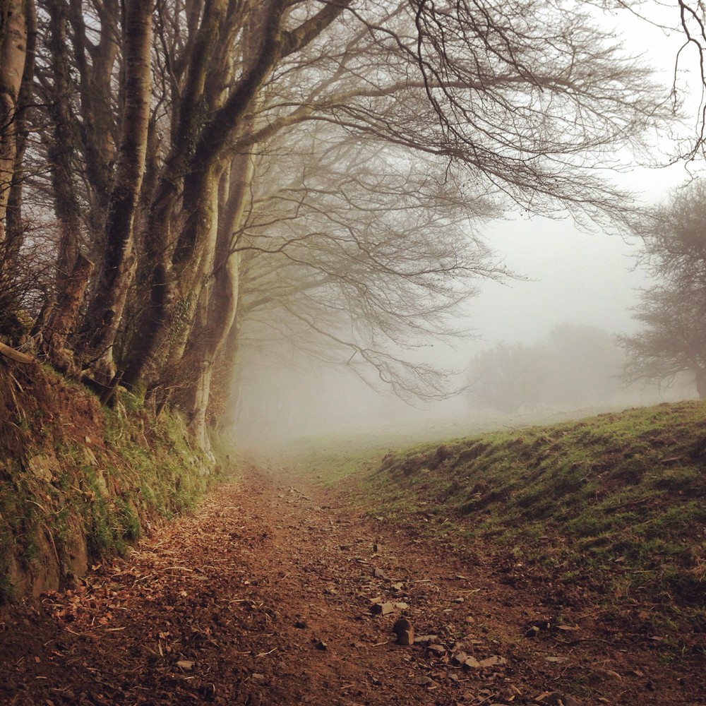 misty moor