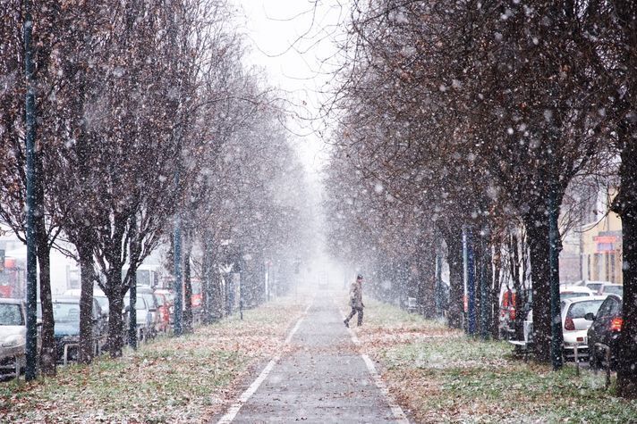 Marco Imazio - 'White Cloth of Snow'