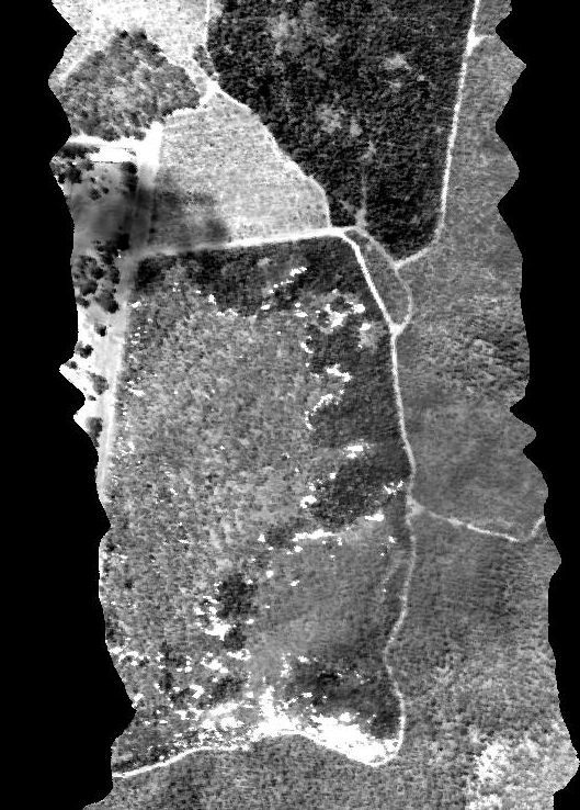 wavebands in the SWIR range