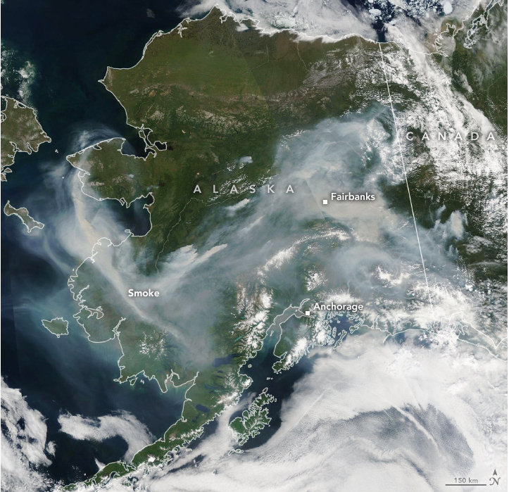 satellite image of wildfires