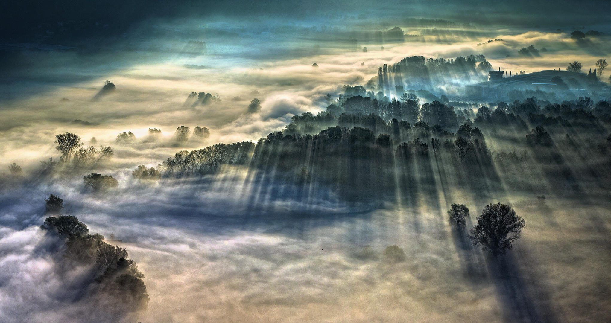 ‘Morning Fog’ - Photo © Giulio Montini