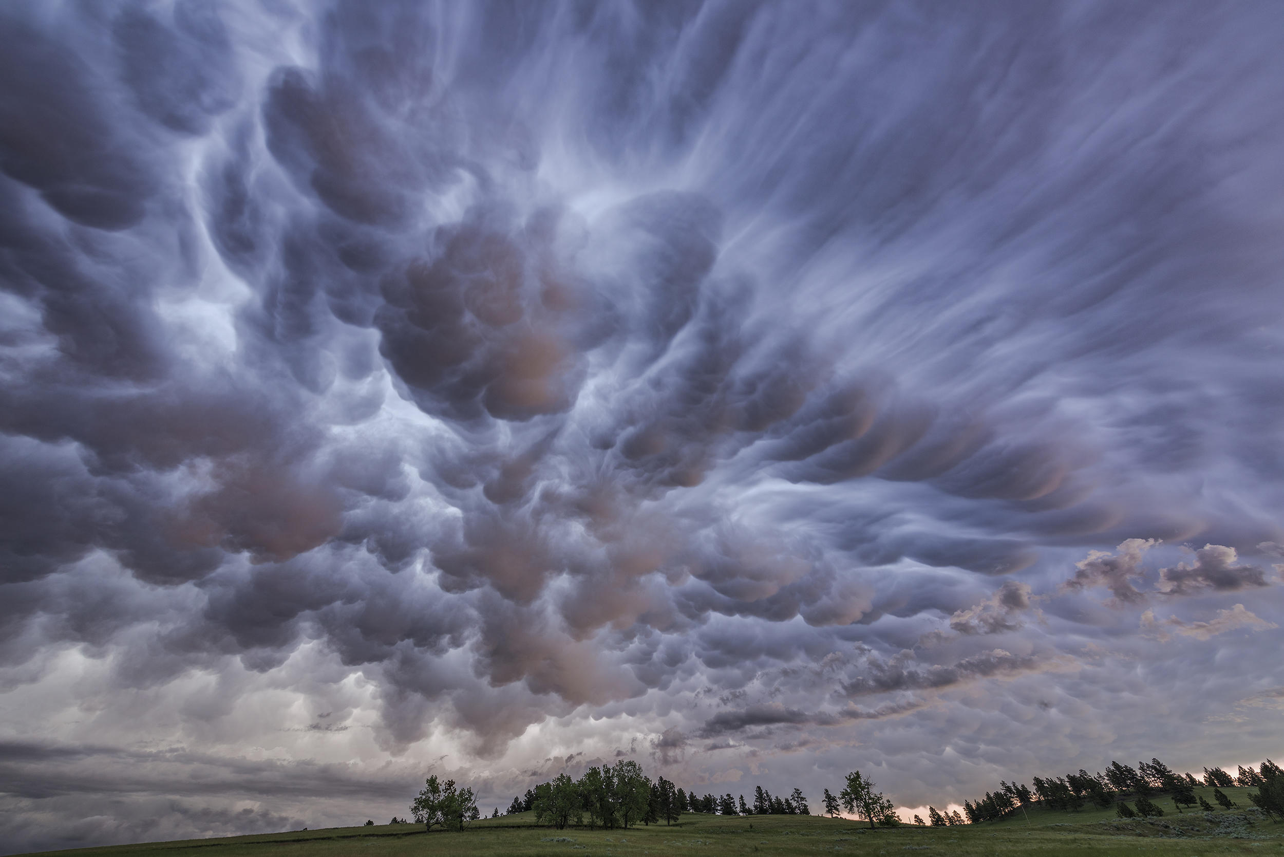 Mammatus clouds