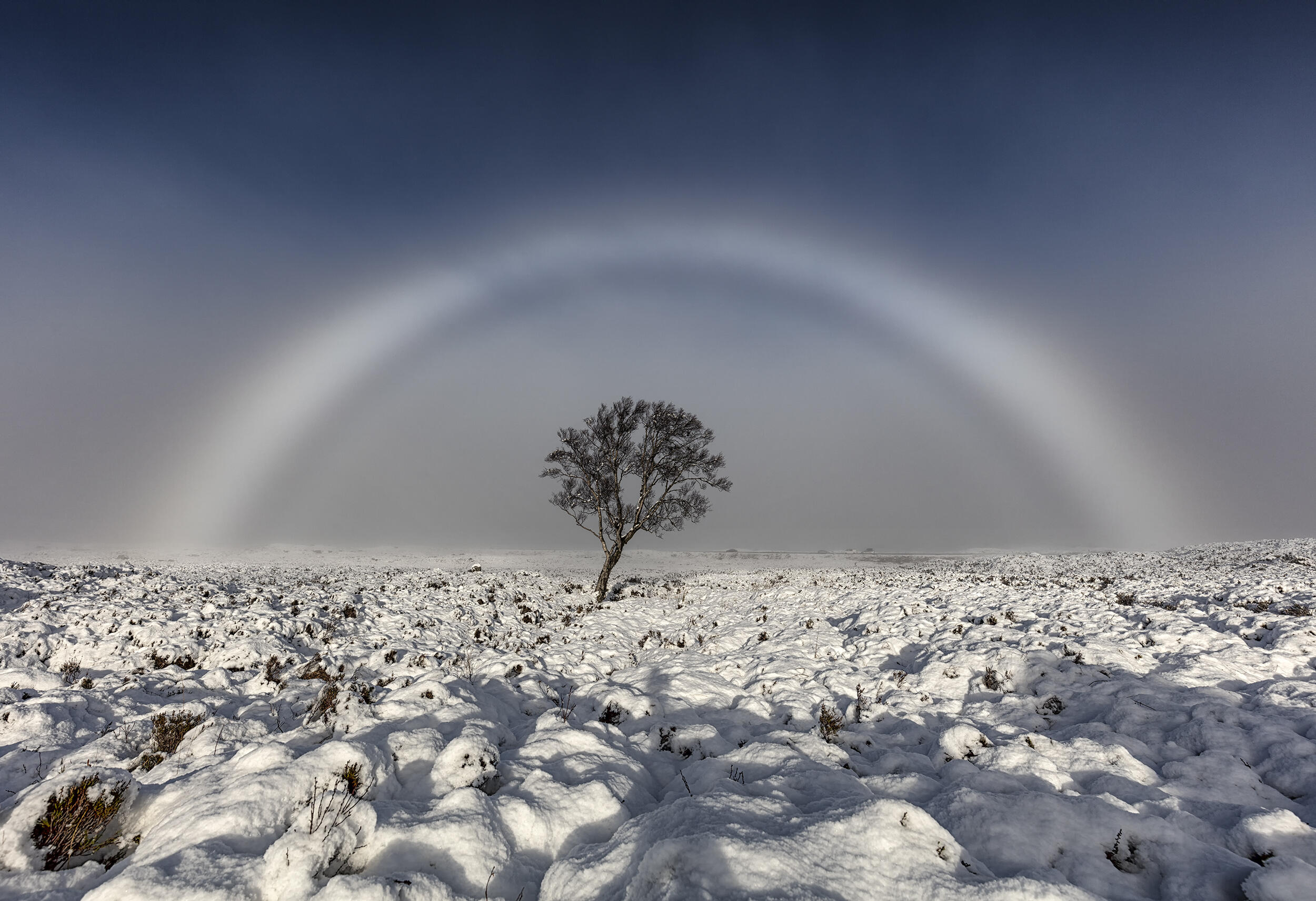 White Rainbow