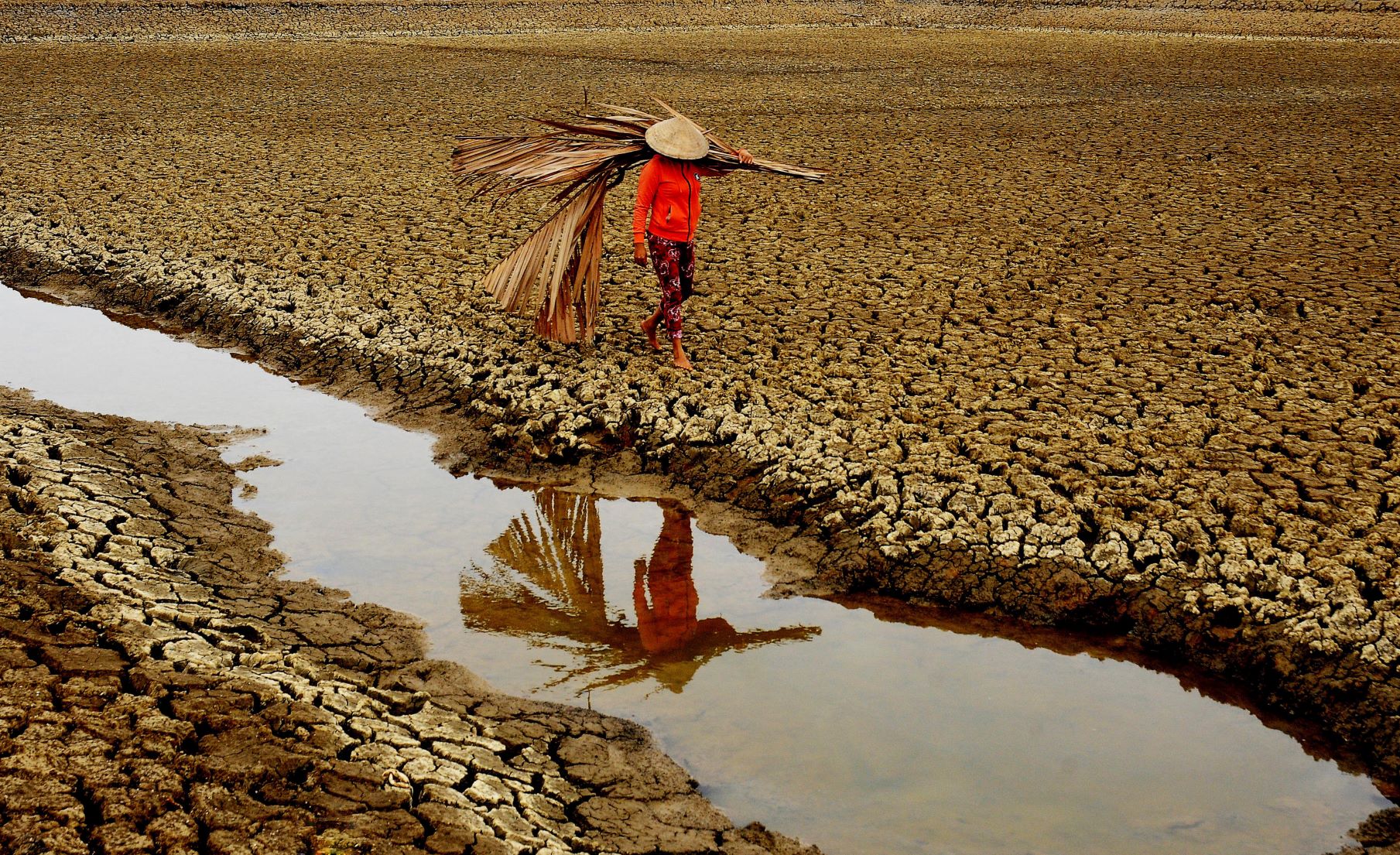 Dry fields