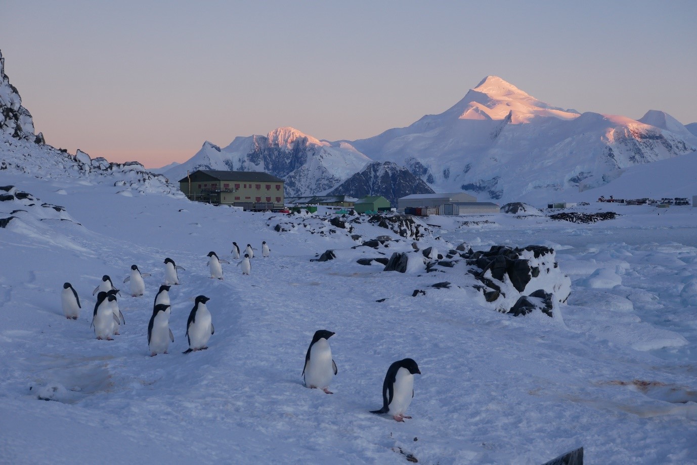 Rothera Research Station with Adelie penguins in the foreground