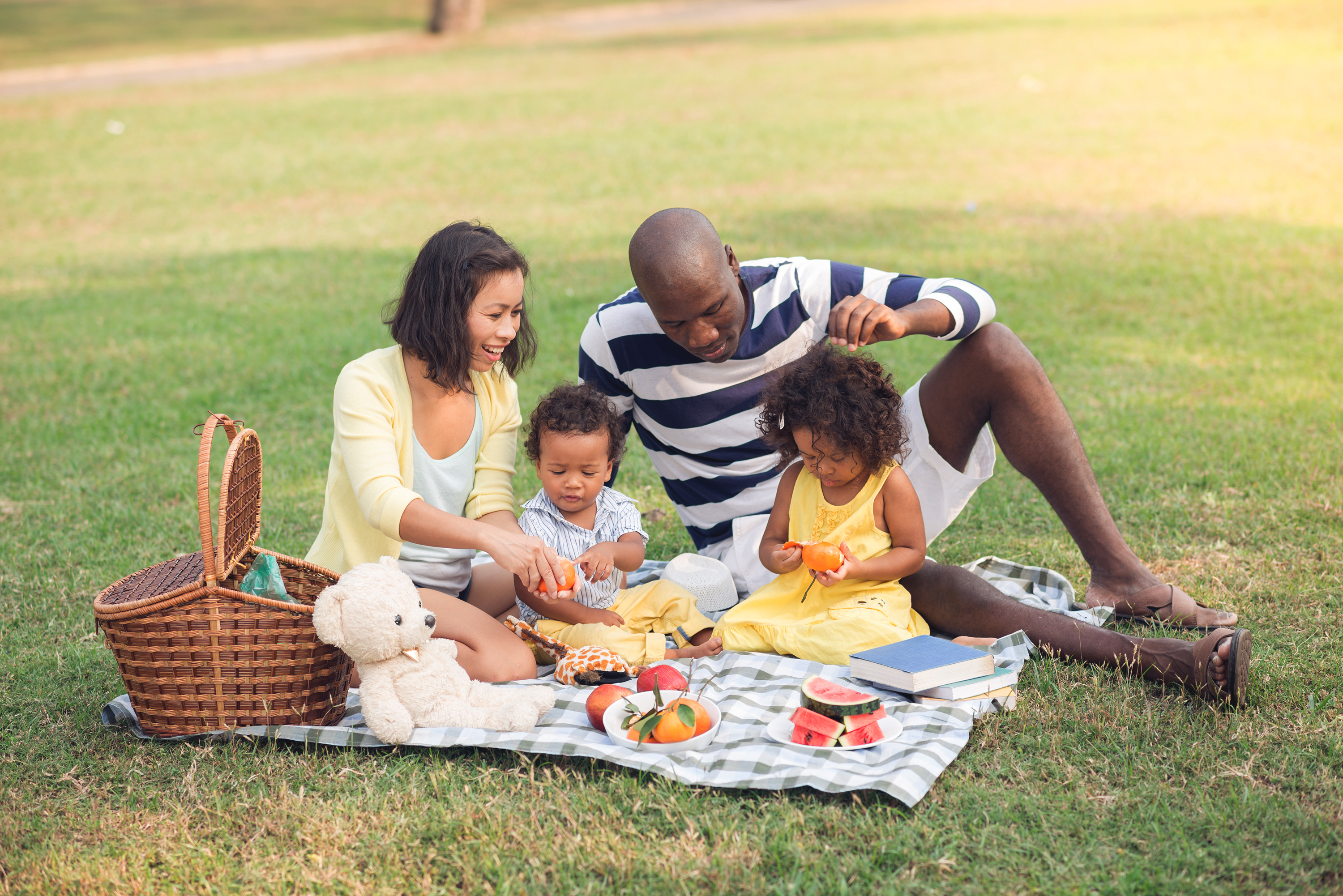 Family having a picnic