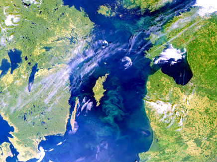 An image derived from Sentinel-3 Ocean and Land Colour Instrument (OLCI) showing blooms of cyanobacteria (a type of phytoplankton) in the Baltic Sea.