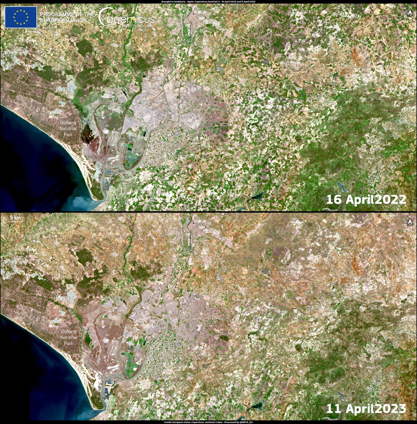 European Union, Copernicus Sentinel-2 imagery. These images were taken on 16th April 2022 and 11th April 2023. The image taken in 2023 shows the striking absence of vegetation. The permanent water bodies in the Doñana National Park also appear dry in the April 2023 image, and this poses a threat to the survival of the wildfire that relies on these water sources.