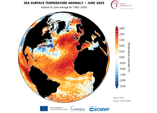 Sea surface temperature anomaly for June 2023