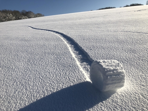 Snow roller