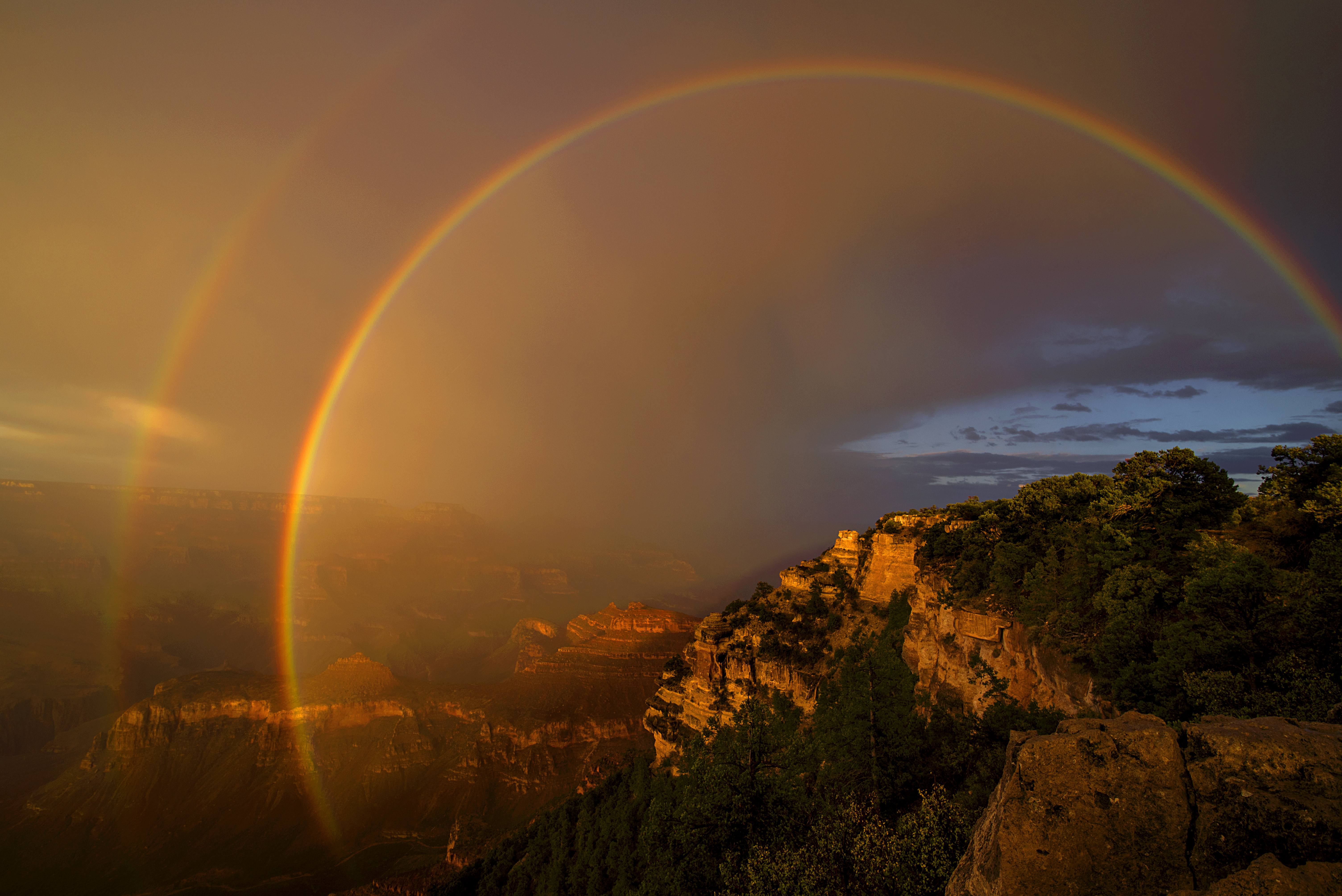Once in a Lifetime © Tina Wright