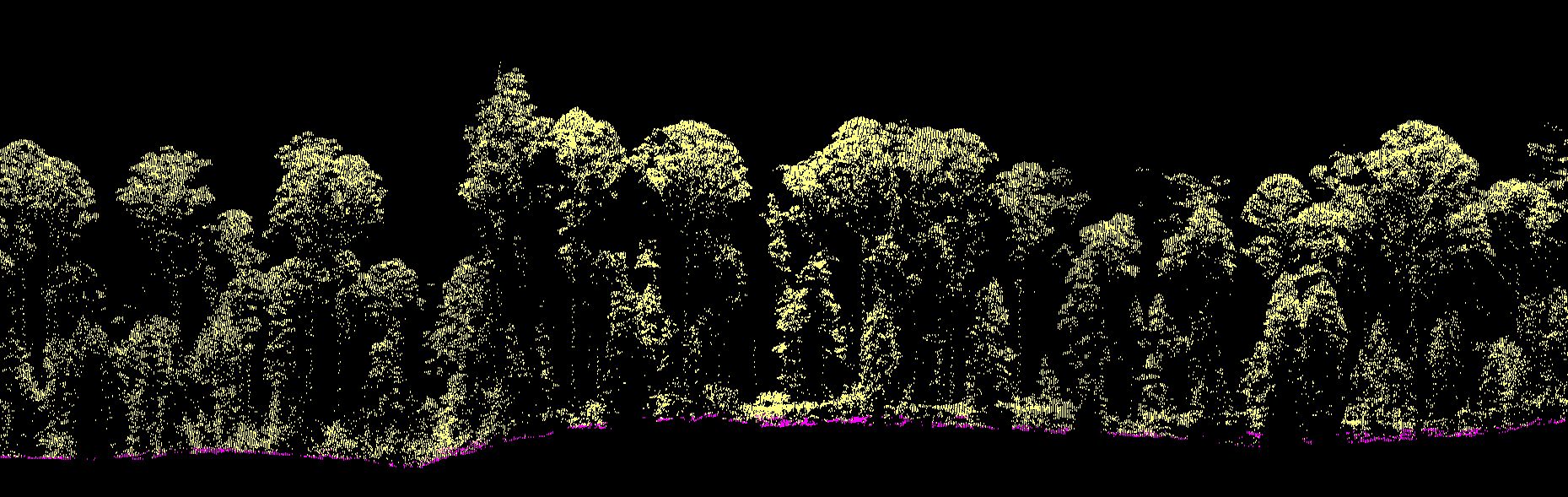 stunning levels of detail in vegetation structure