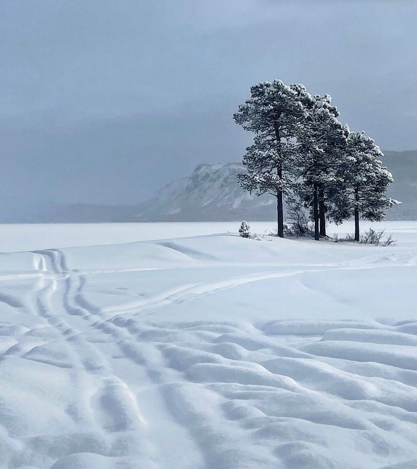 Arctic landscape