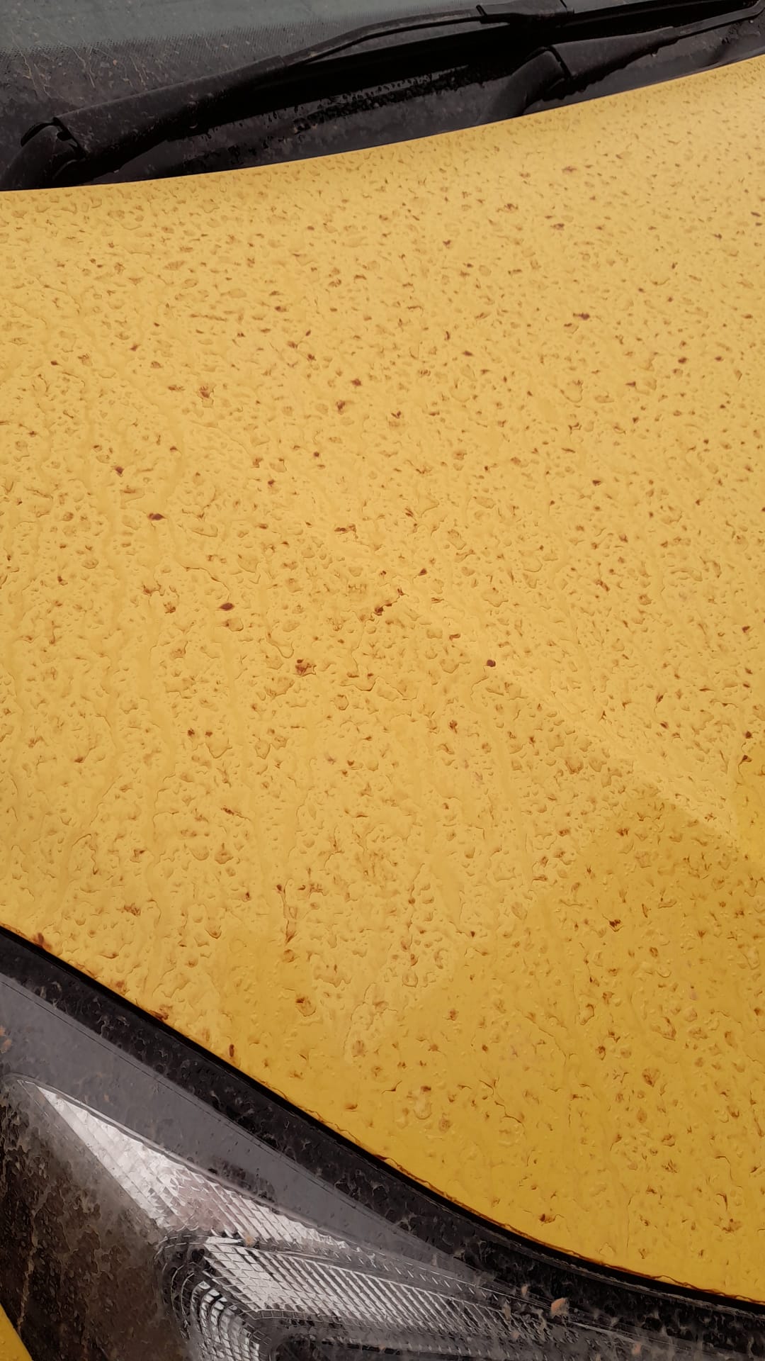 Dust deposits on a yellow car