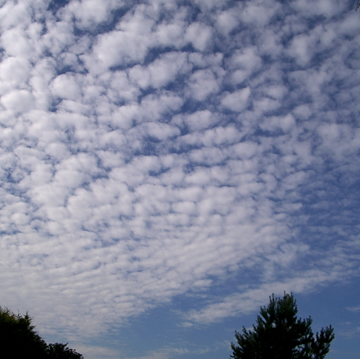 Altocumulus