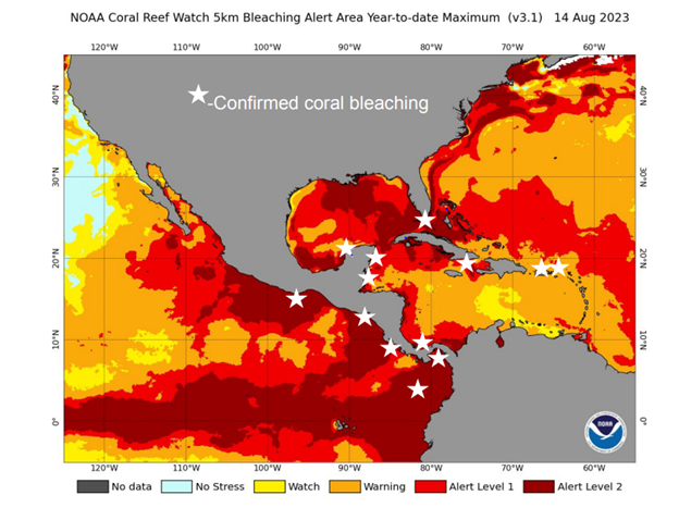 Confirmed Coral Bleaching Aug 2023
