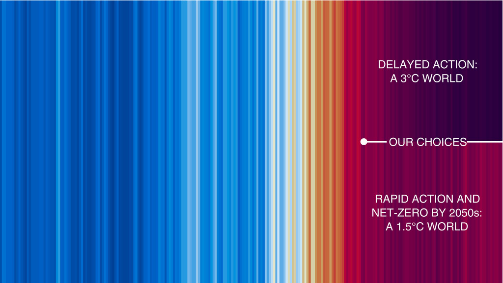 future world climate stripes