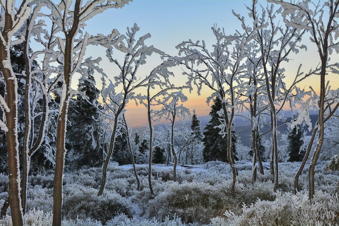 Hoar frost and rime