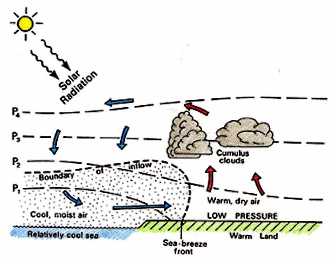 Sea breeze circulation sketch