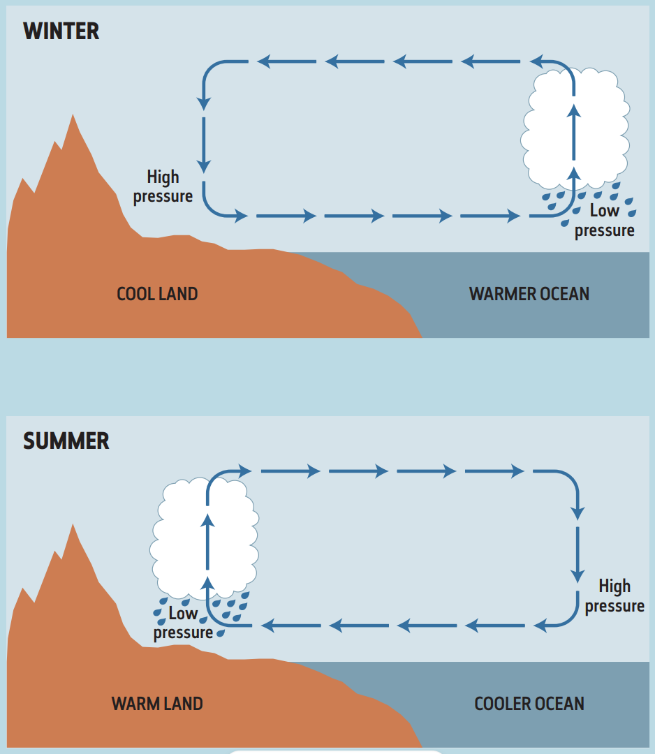 The effect of the land-sea temperature difference drives the seasonal switch in wind direction