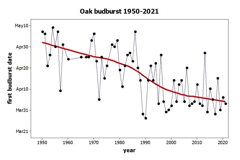 Oak budburst variability