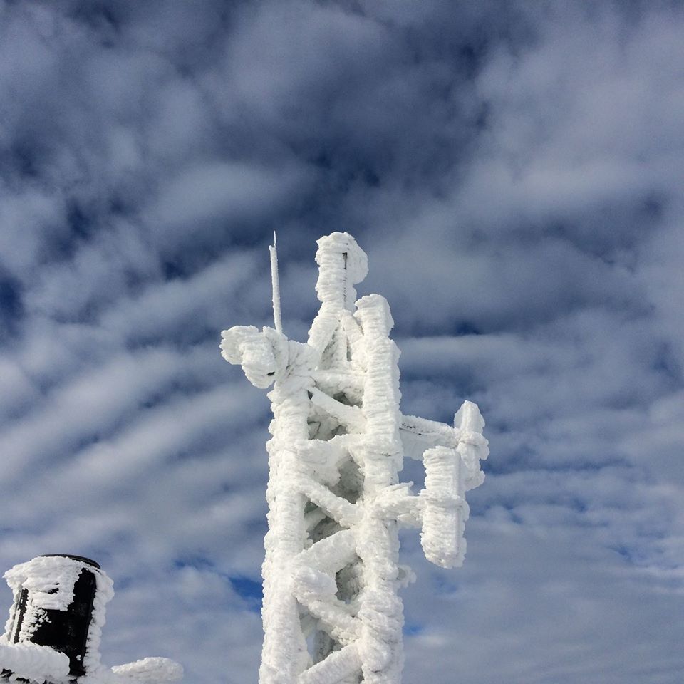 Rime on an automatic weather station