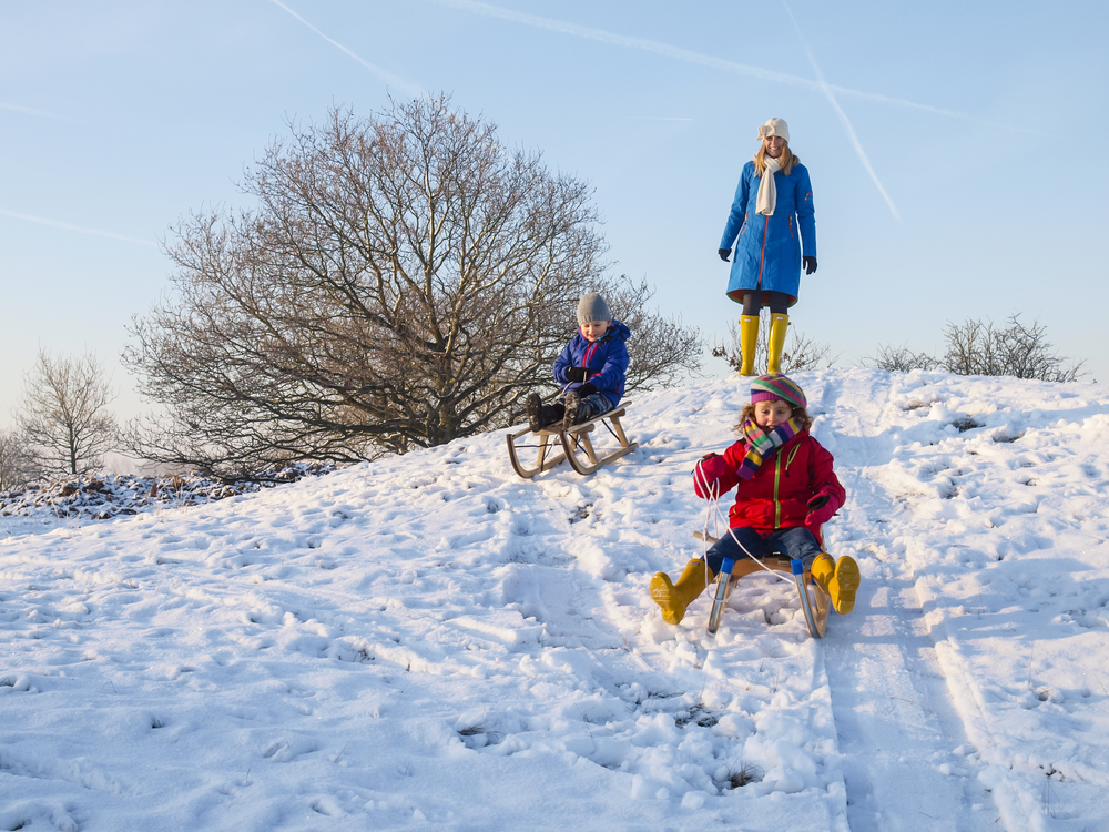 Children sledging