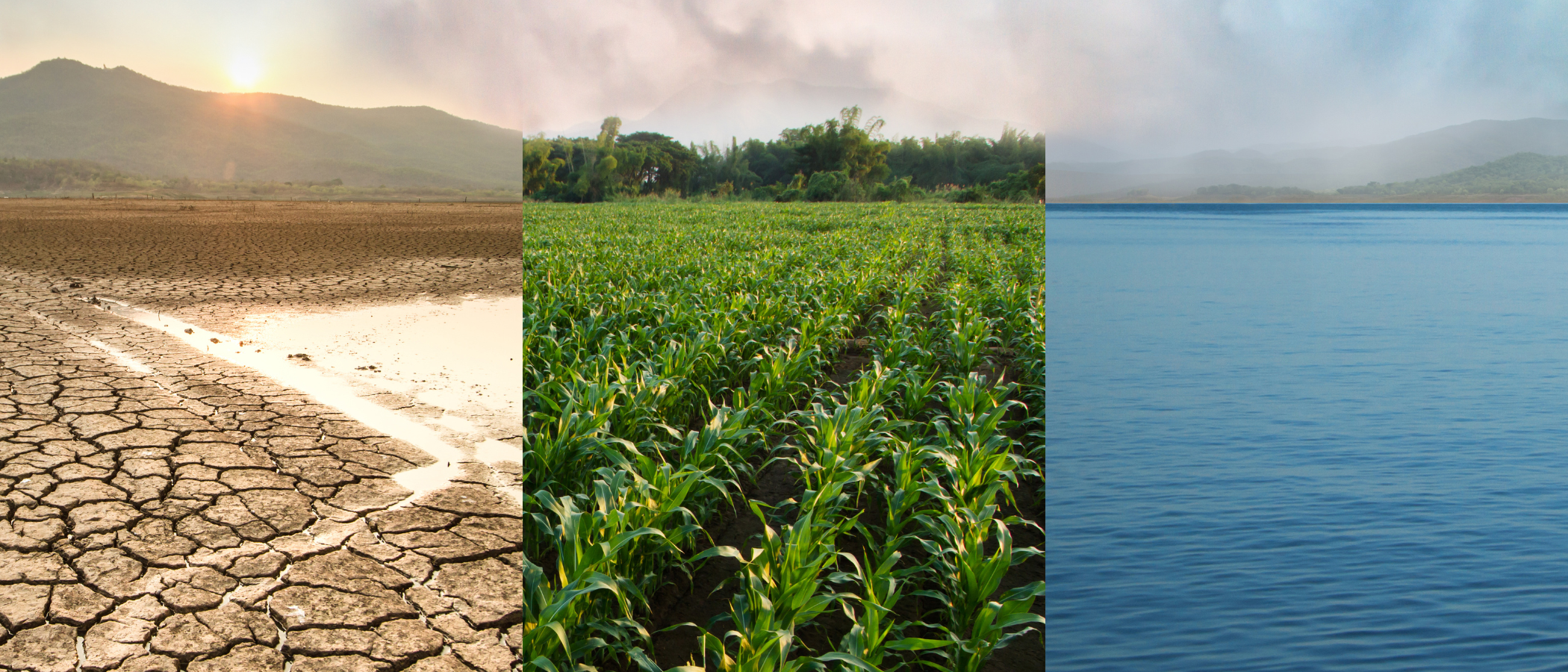 3 images showing drought, healthy crops and ocean