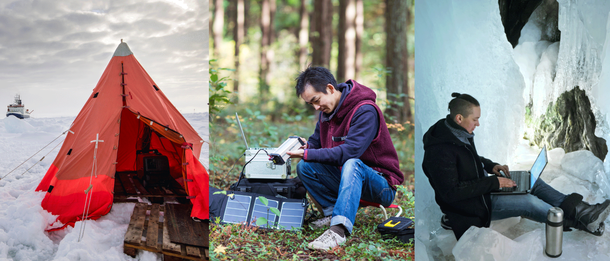 Early career scientists conducting research in the field