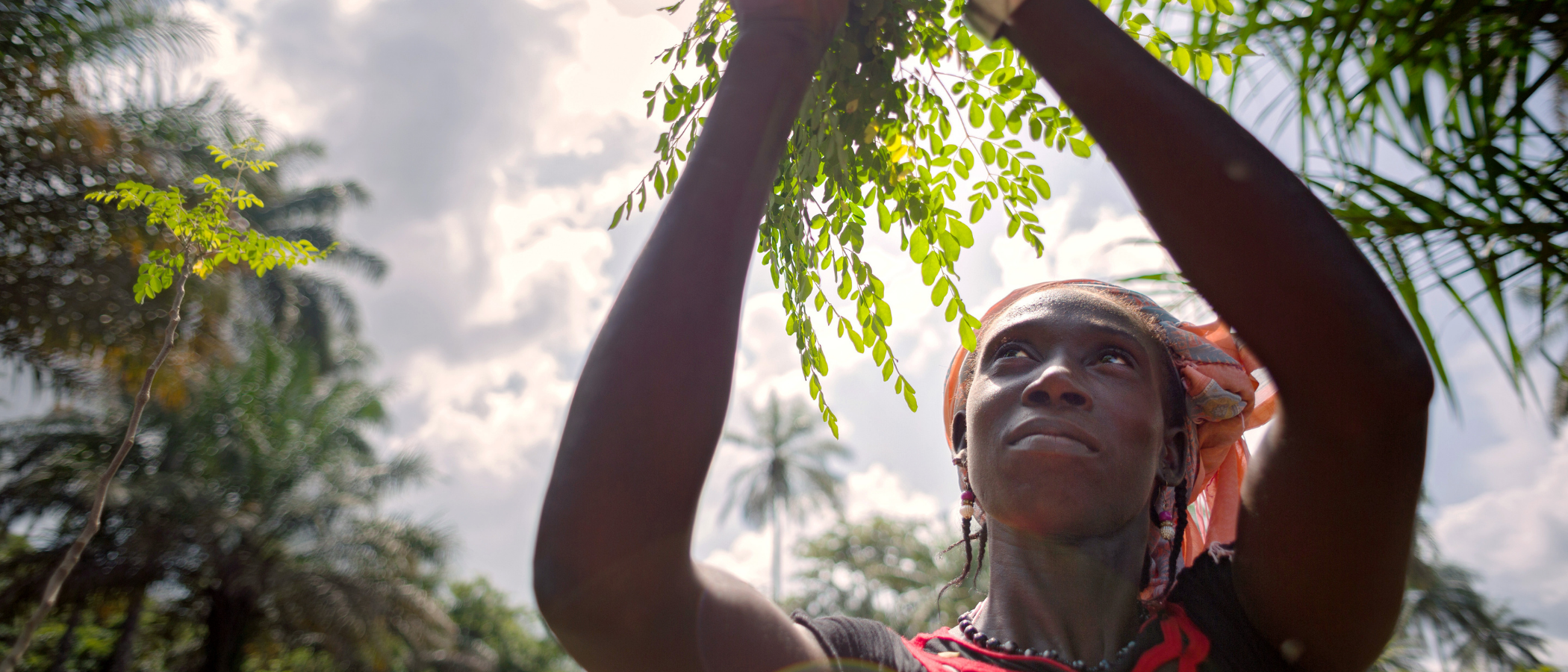 A lady in Guinea demonstrating substainable agricultureCredit: Joe Saade / UN Women