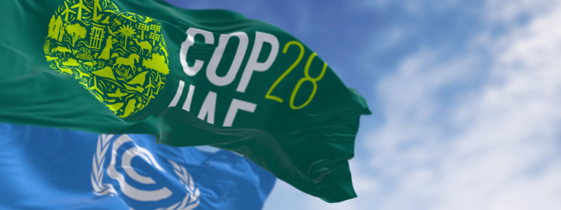 COP28 UAE Flag