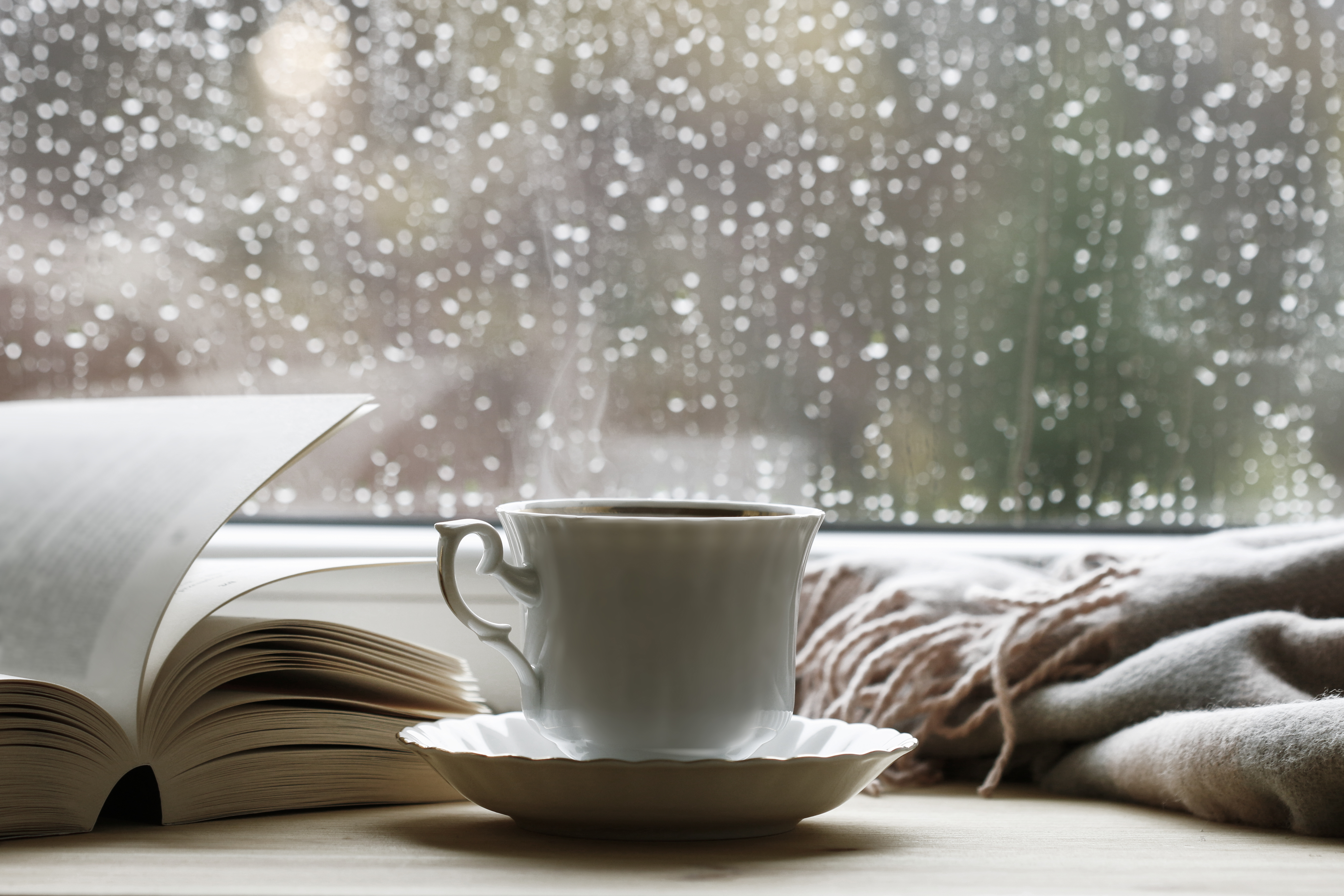 A book and teacup in front of a rainy window